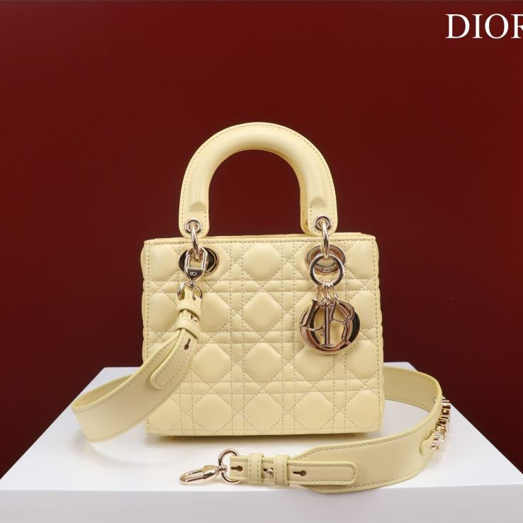 chr1st1an D10r my lady bags